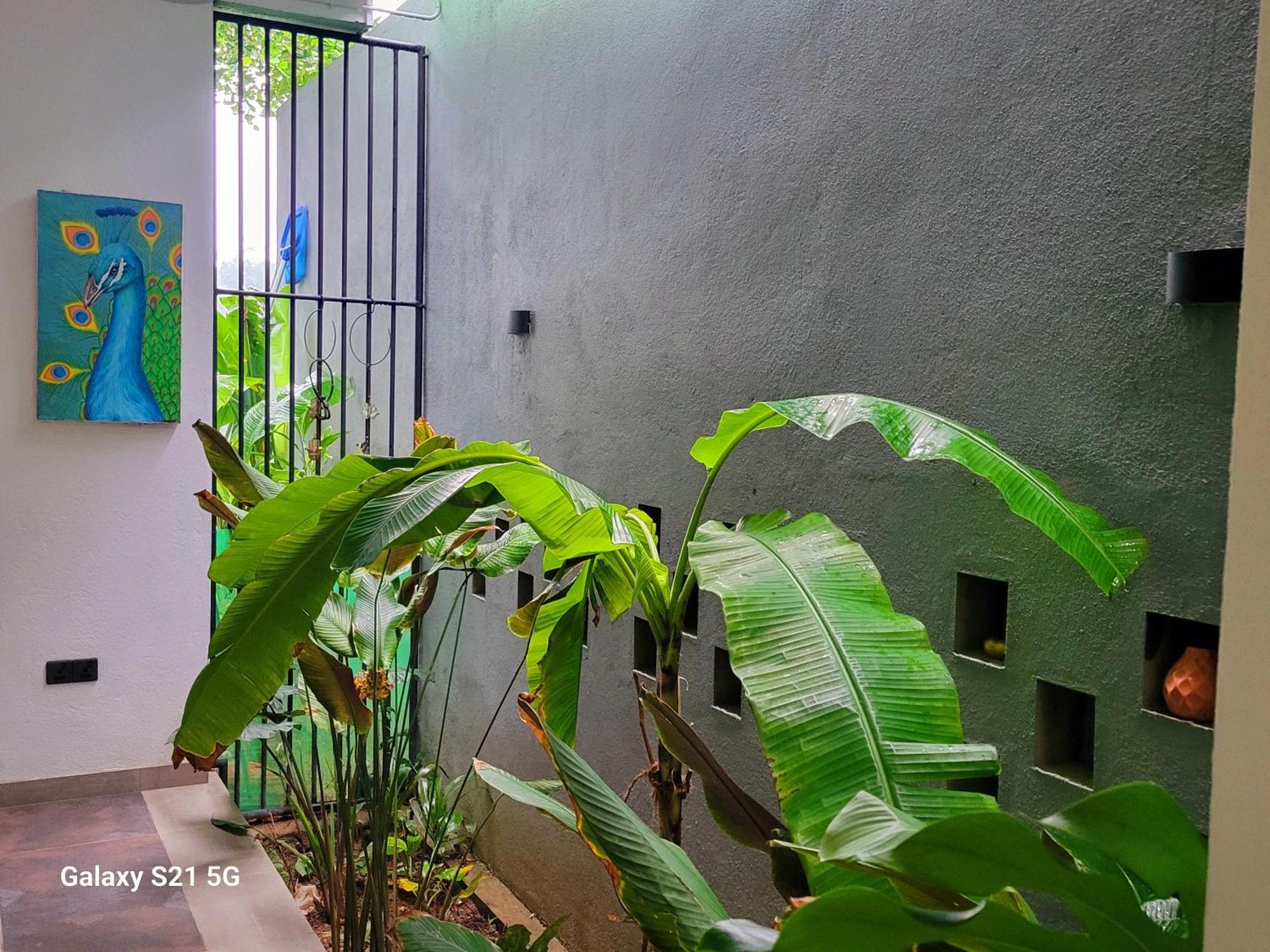 Barefoot Bungalow Hikka Hikkaduwa Zewnętrze zdjęcie
